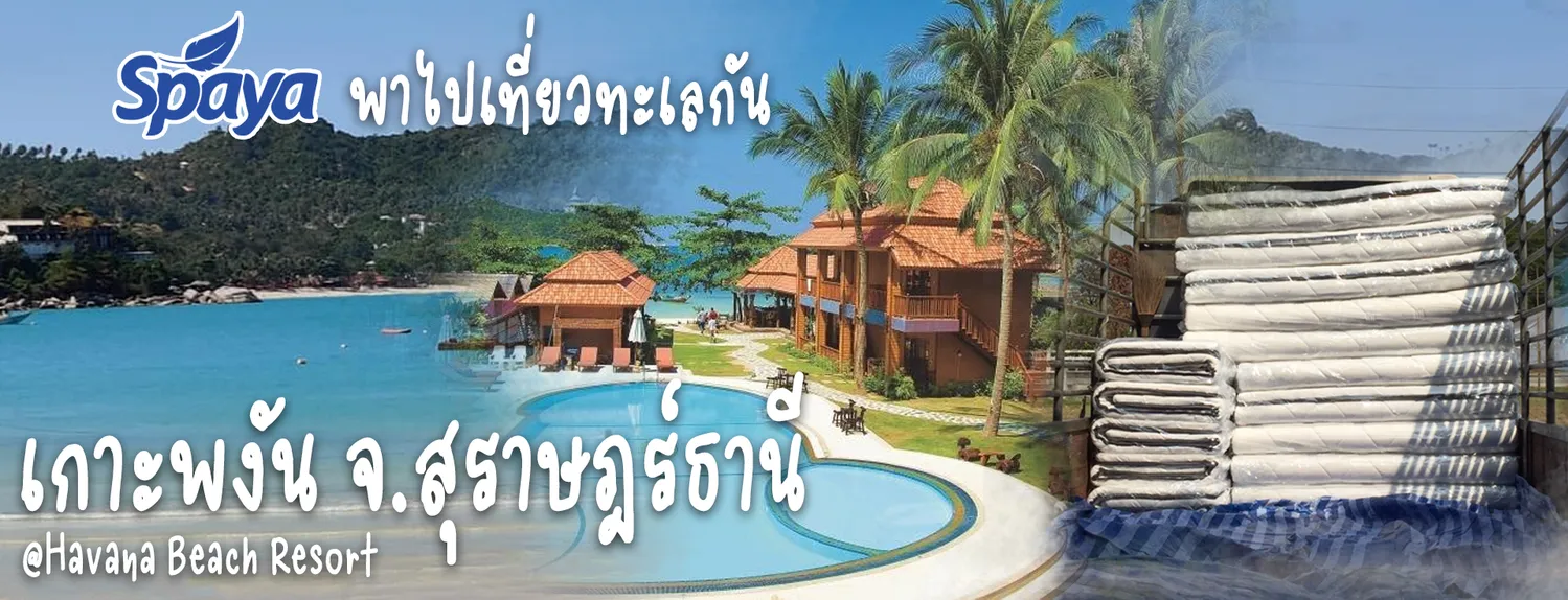 รีวิวที่นอนโรงแรมต่างๆ-เกาะพงัน